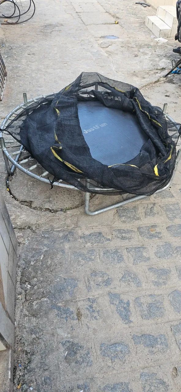 Pula pula - Foto 3