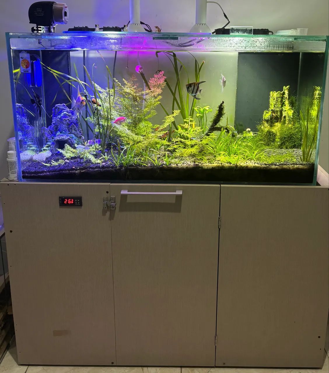 アクアリウム引退❷ Aquário 200L - Acessórios para pets - Continental, Osasco