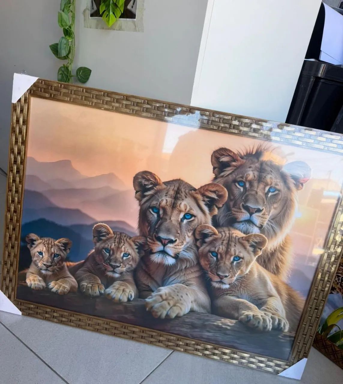 Quadro médio  - Foto 4