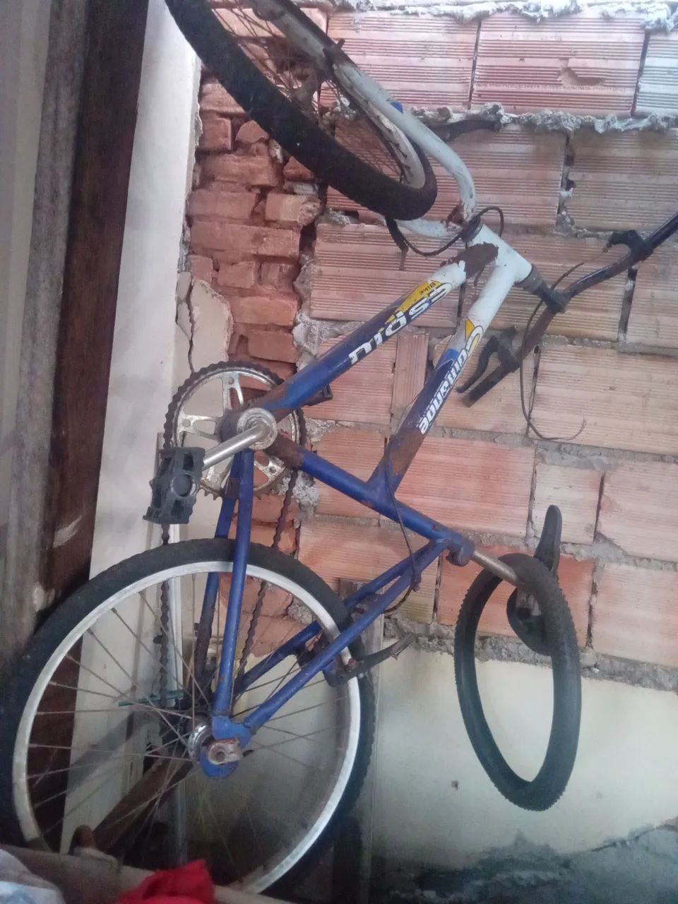 Bicicleta