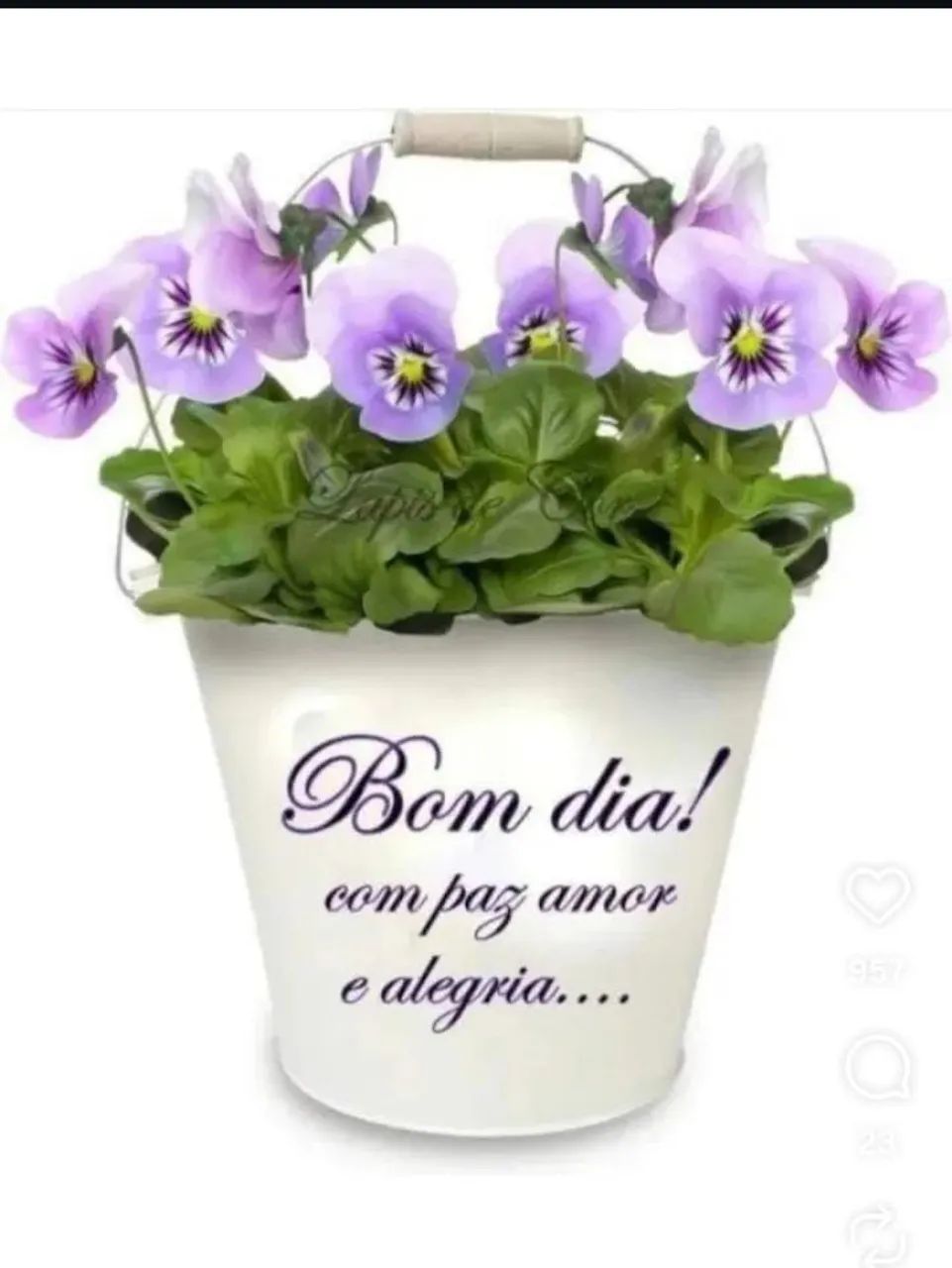 Foto - Cariacica - Santana