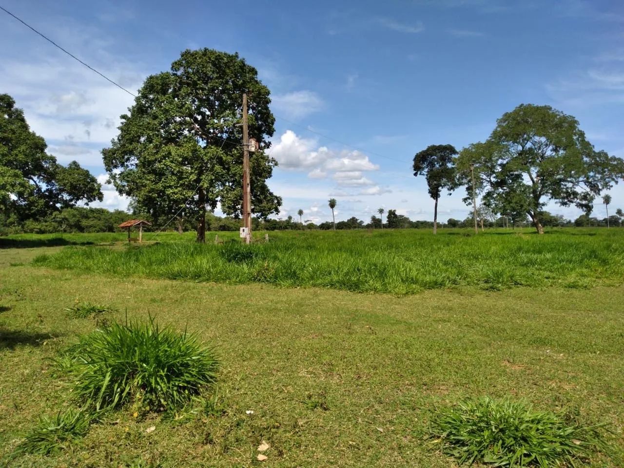 Fazenda Jussara  - Foto 3