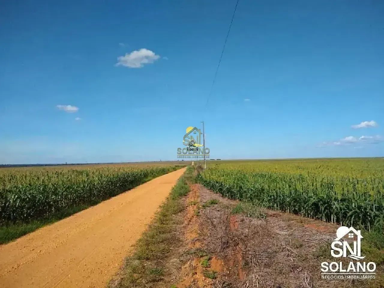 FAZENDA COM FABRICA DE ÓLEOS VEGETAIS EM NOVA MUTU/ MT. - Foto 4