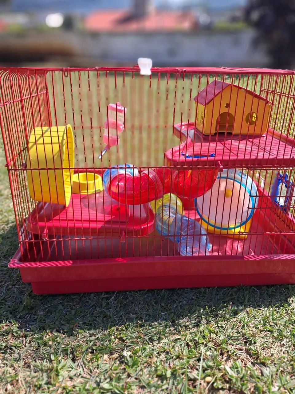 Gaiola hamster completa 2 andares