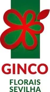 FLORAIS SEVILHA GINCO CLUB