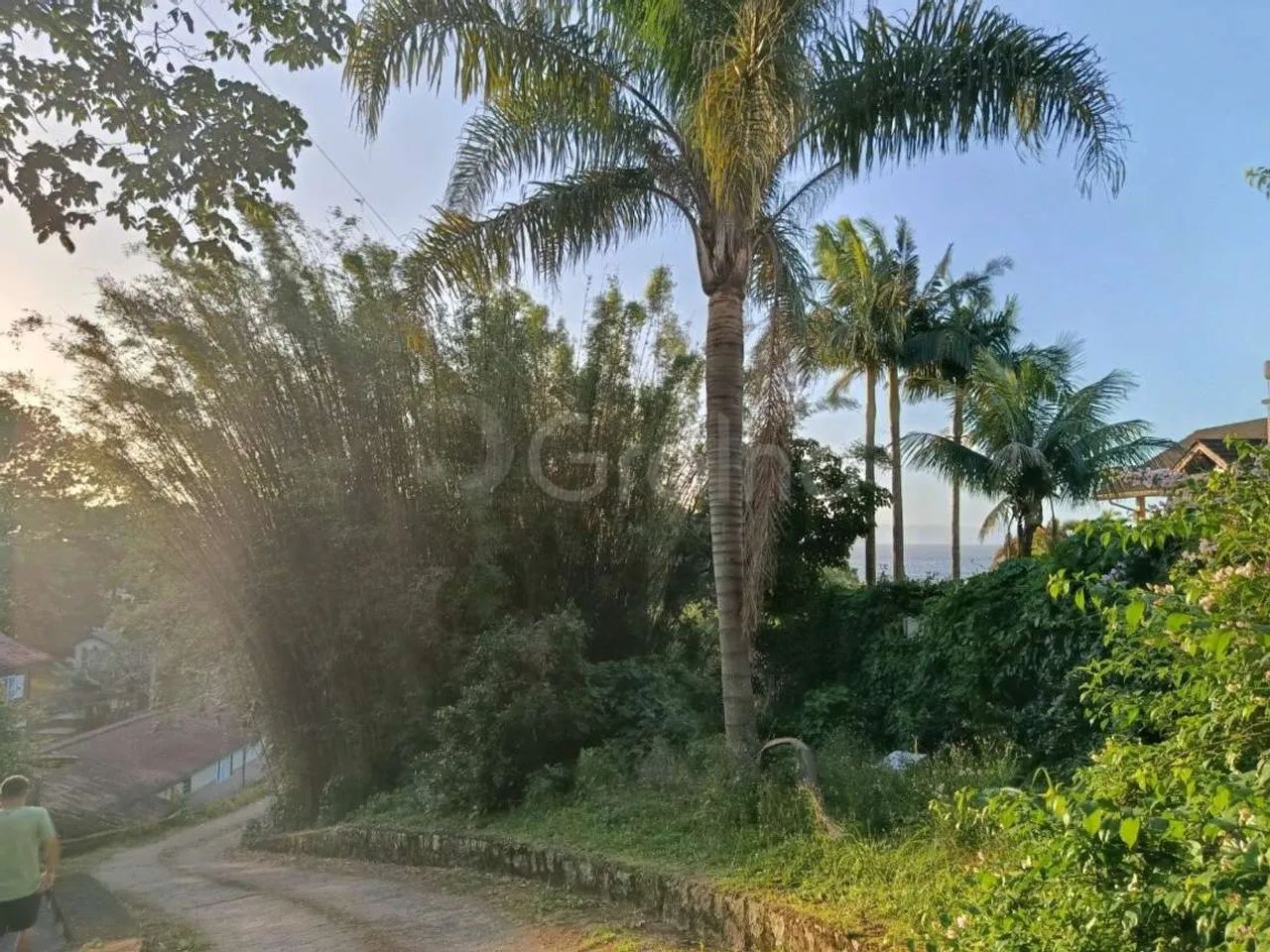 Terreno para Venda em Florianópolis, Cacupé - Foto 5