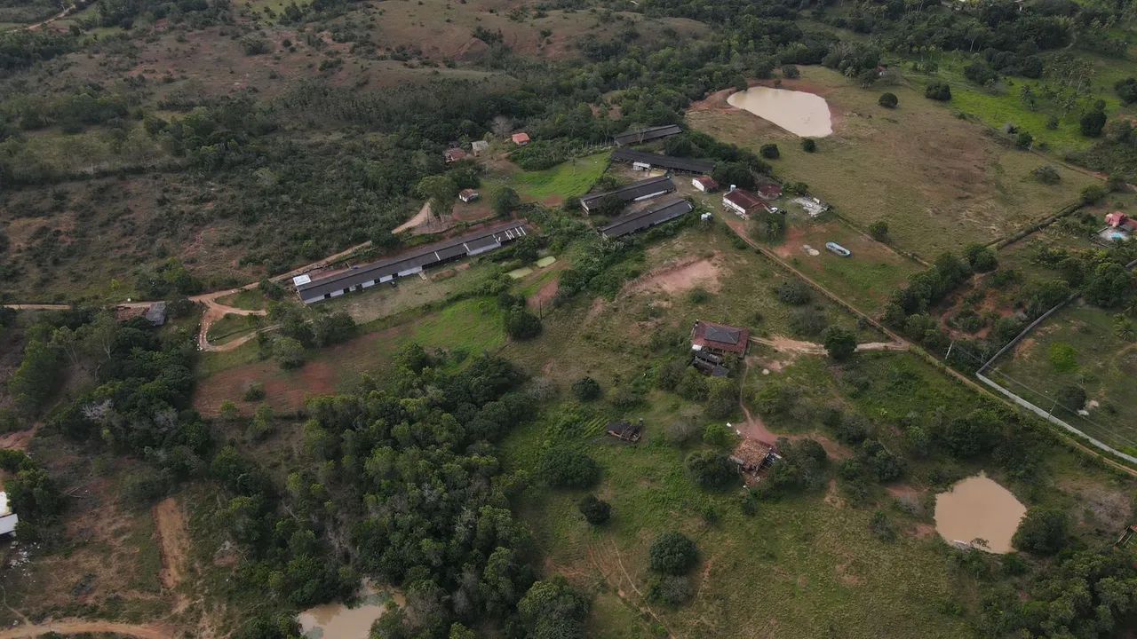 Sítio,fazenda,chacara - Foto 3