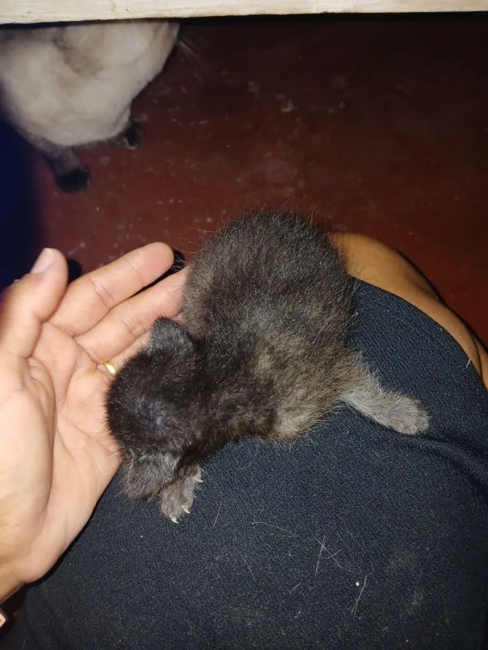 Doação 