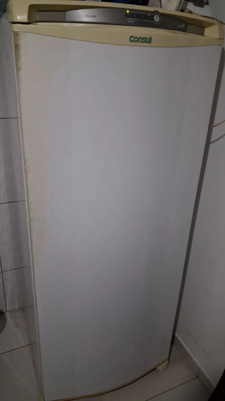 Geladeira - Foto 2