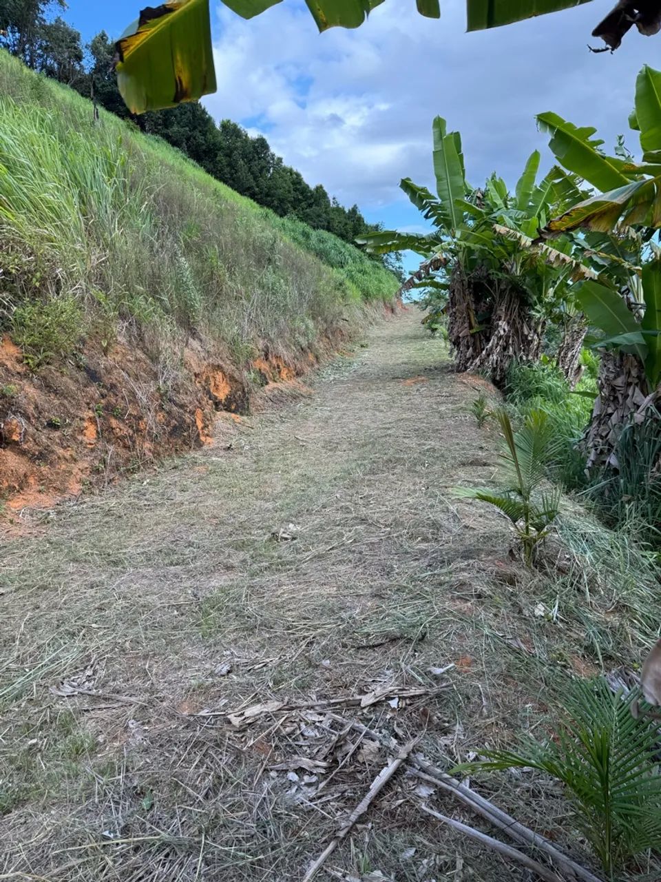Terreno 6km de domingos martins centro - Foto 5