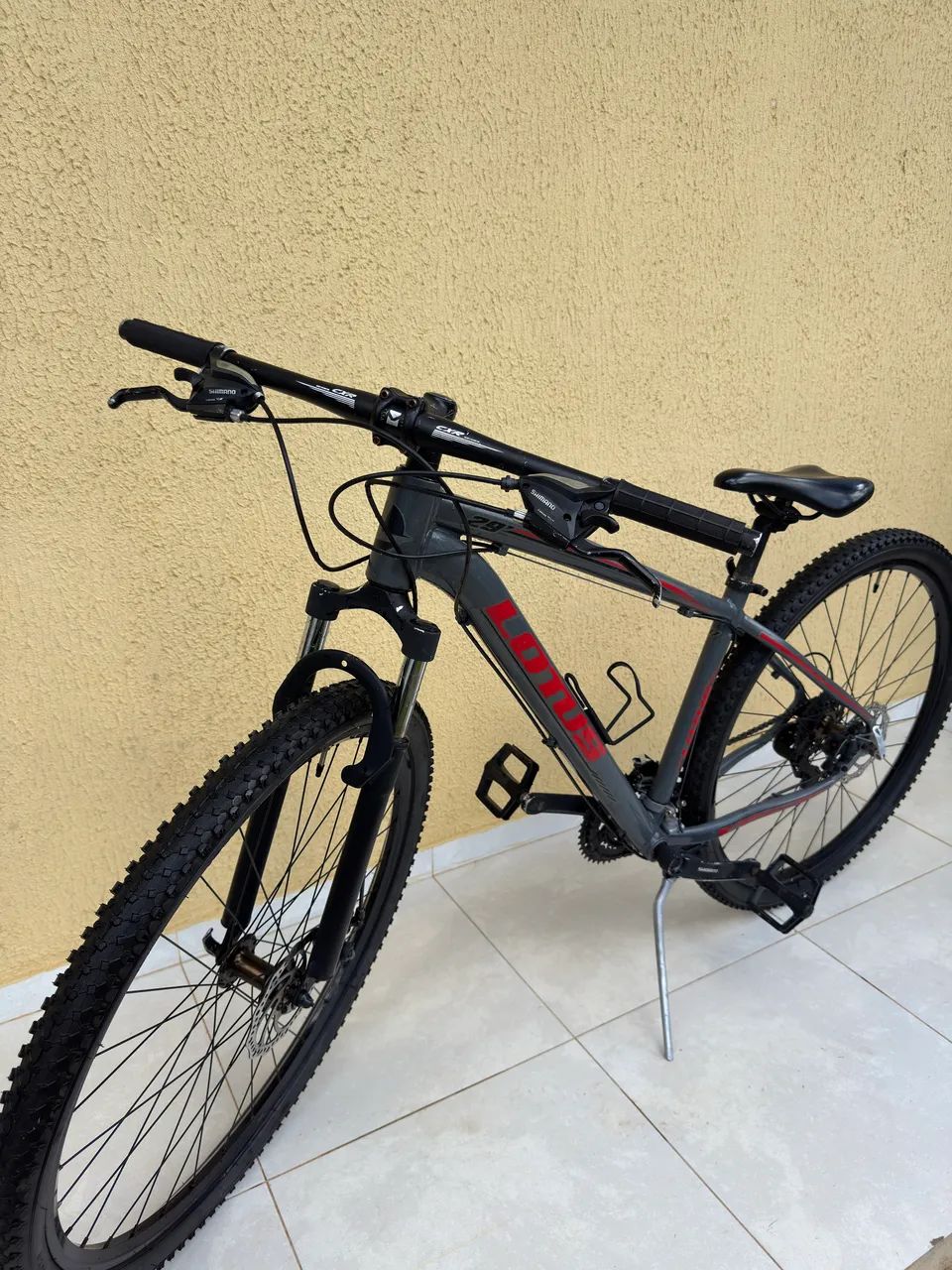 Bicicleta Lottus aro 29