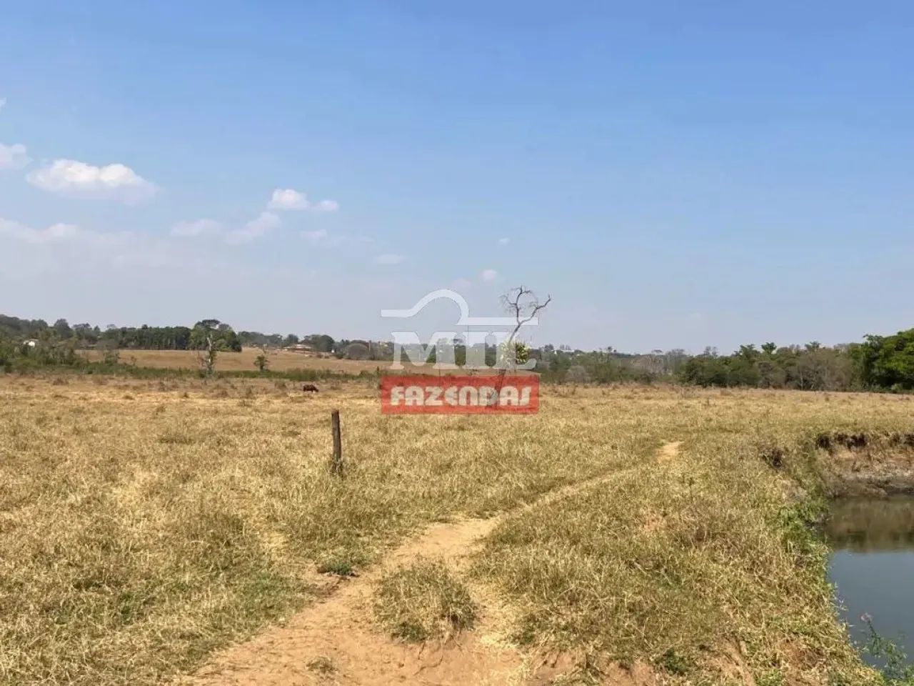 Chácara 7,5 Alqueires (36 Hectares) Brazabrantes - GO - Foto 4