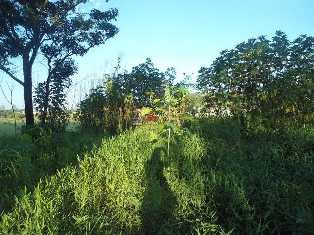 Terreno Padrão em Pindamonhangaba - Foto 4