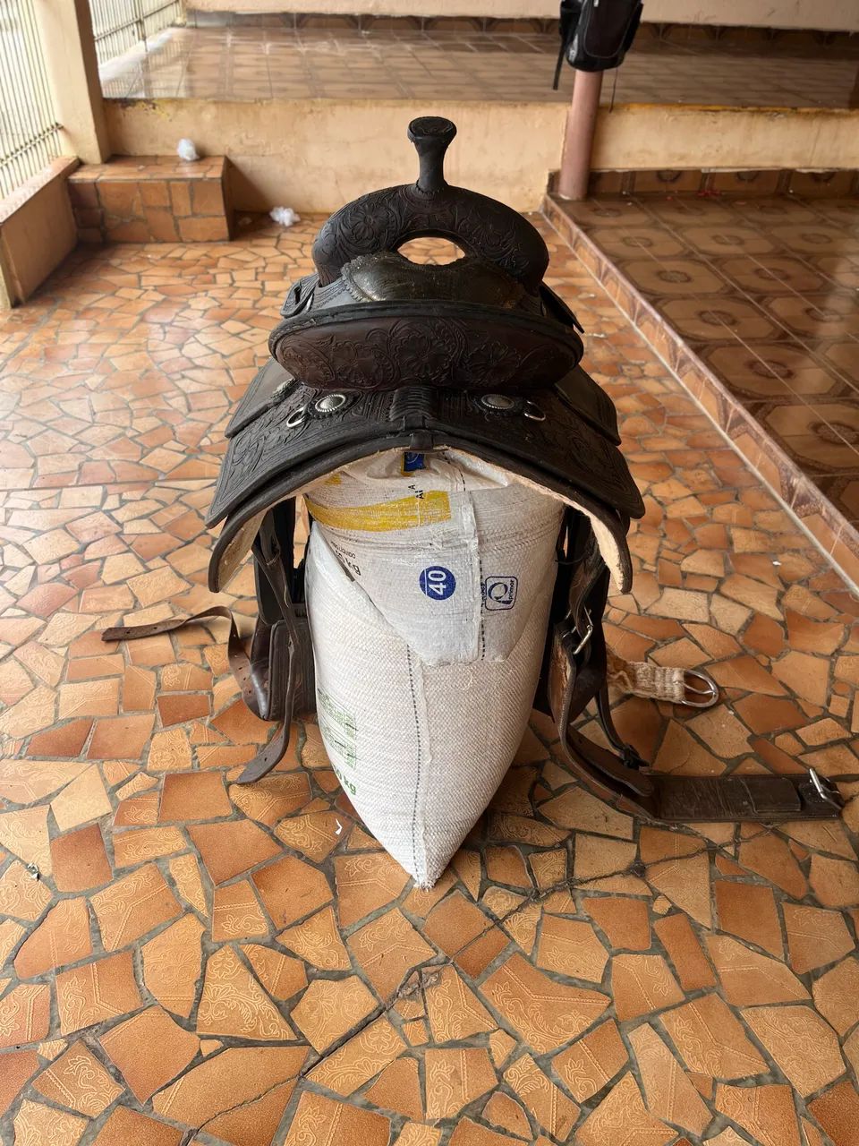 Sela de laço 