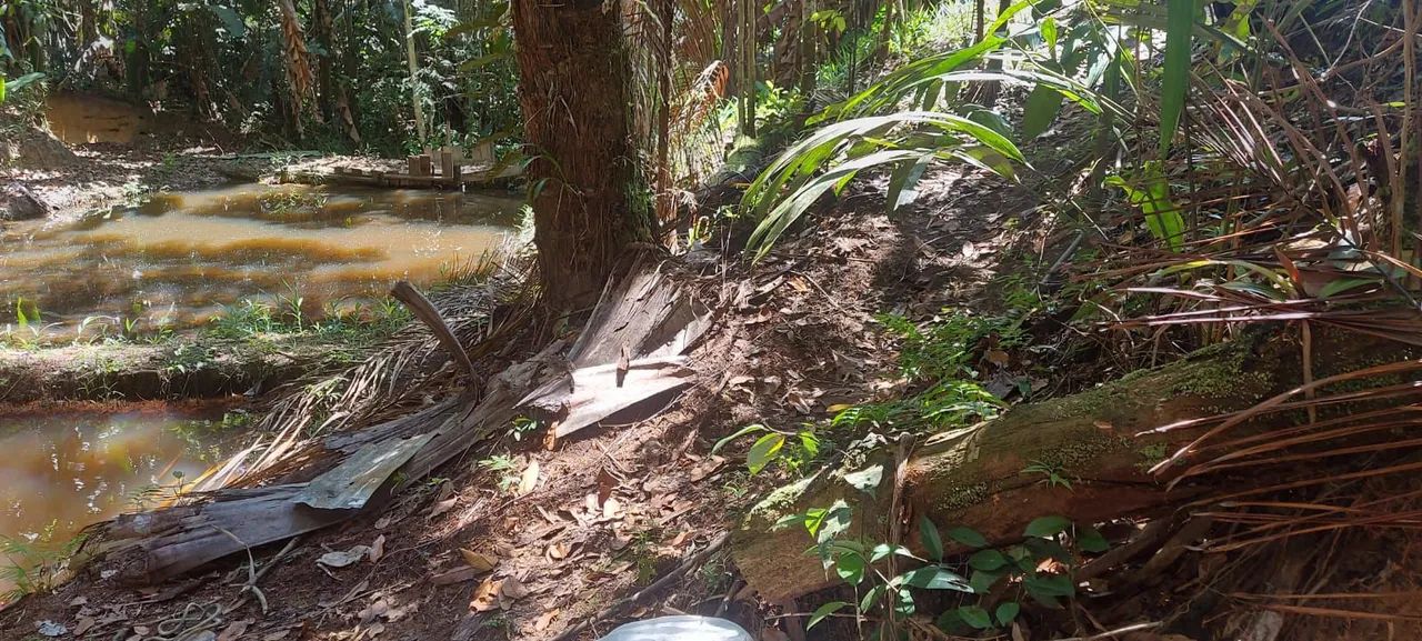 VENDE-SE SITIO - Foto 14