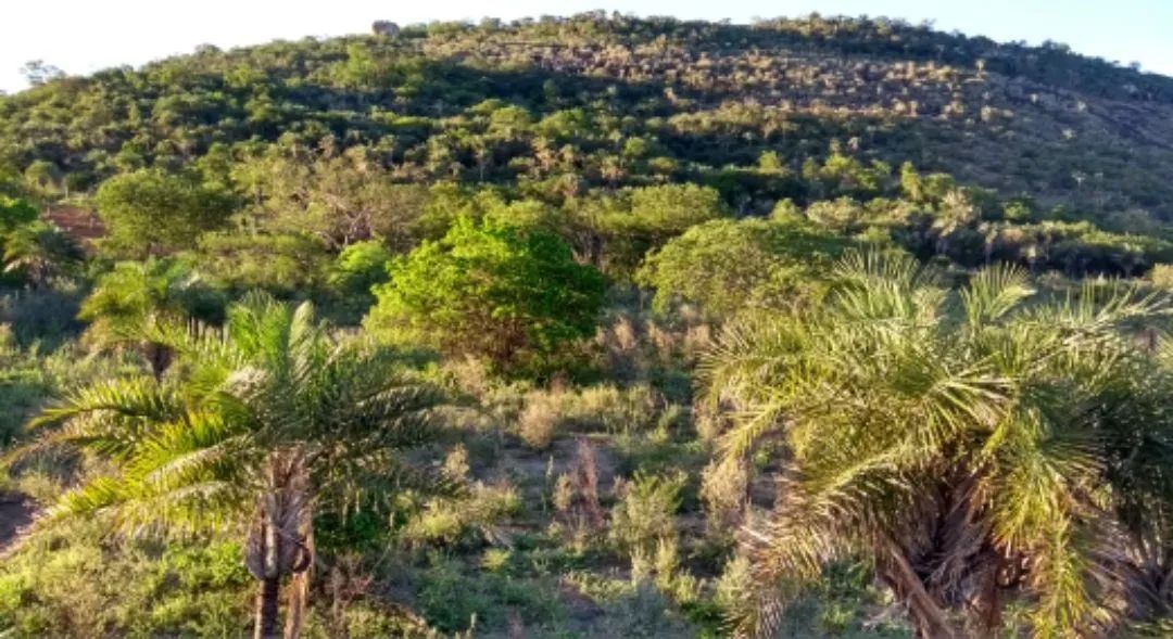Terreno Chapada Diamantina  - Foto 4