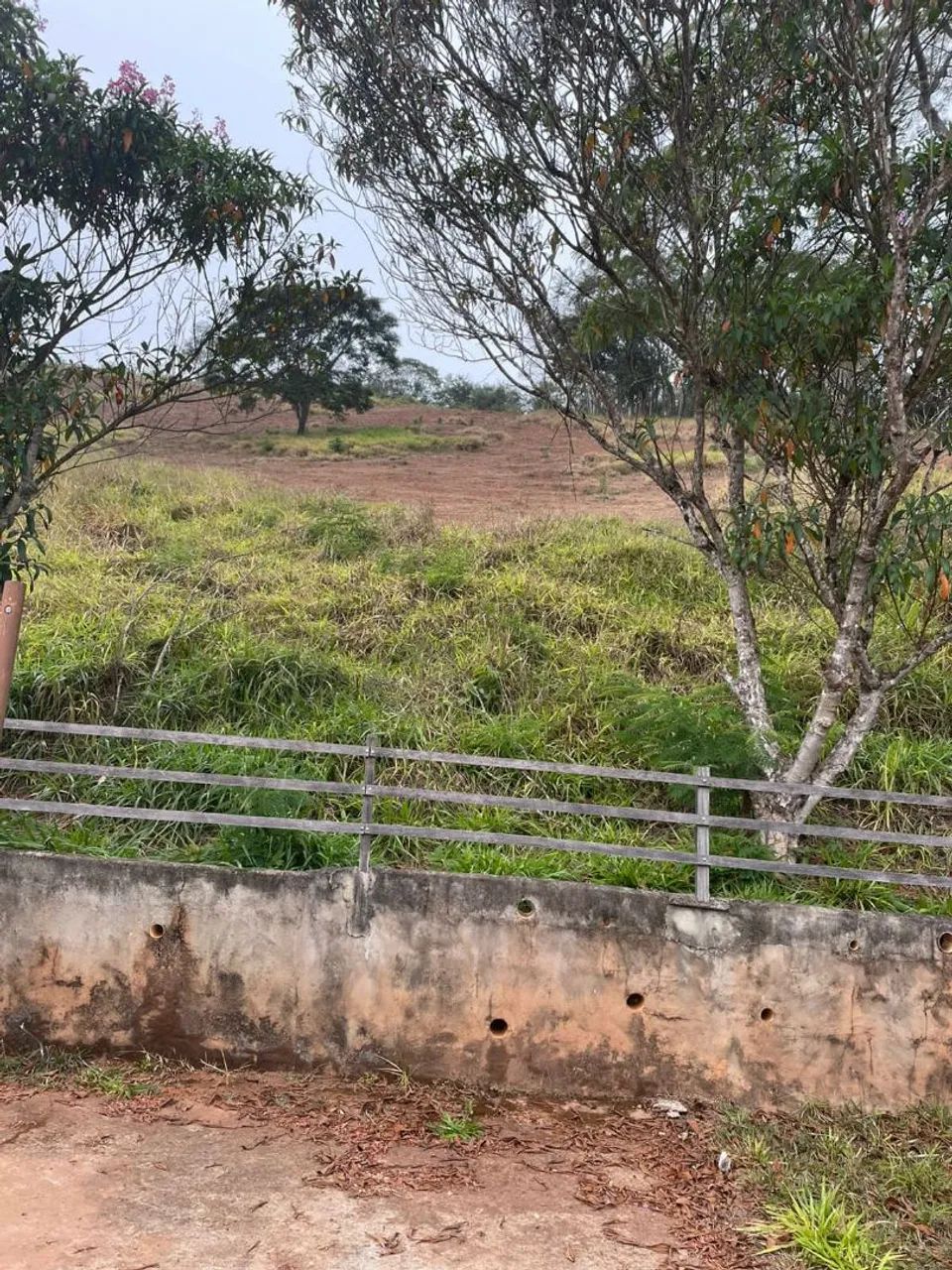 Sitio em Piranga/MG - Foto 5