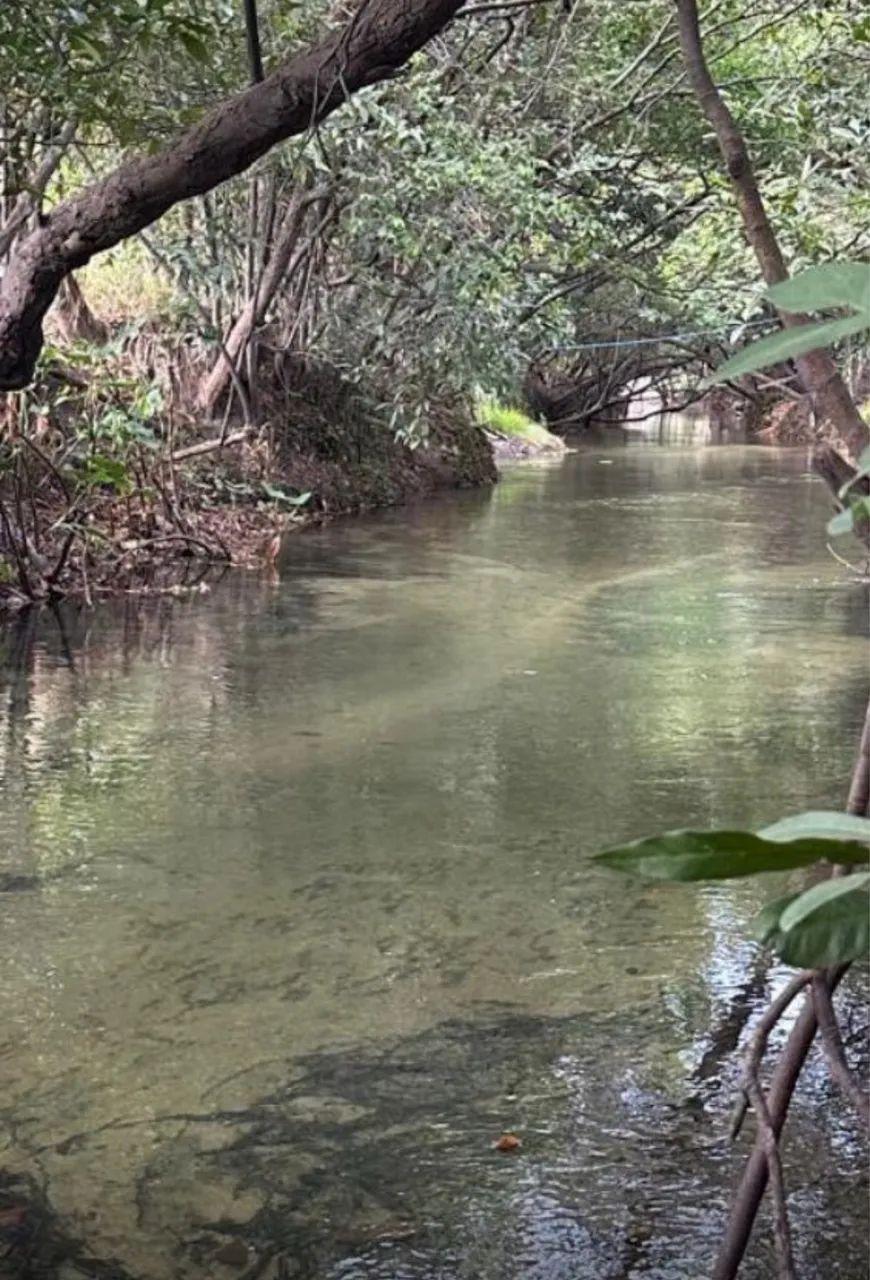 Vendo sítio 16 km de Boa Vista 