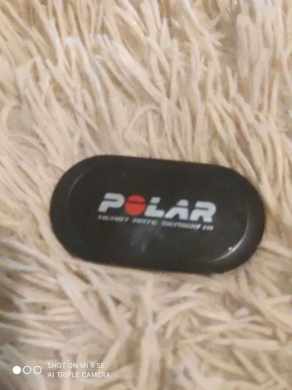 Sensor Polar 