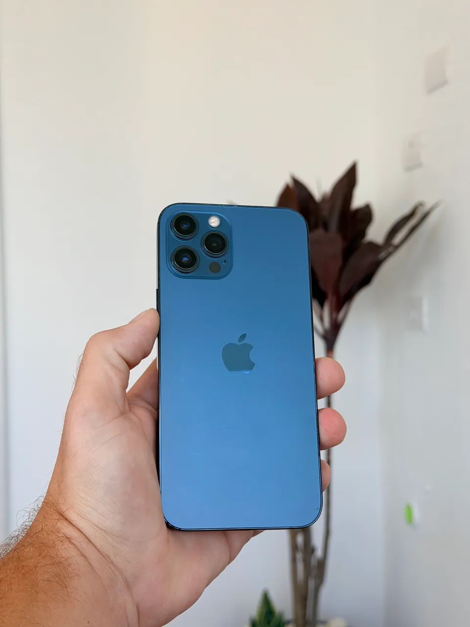 iPhone 12 Pro Max 256gb Azul - Celulares e Smartphones - Vila