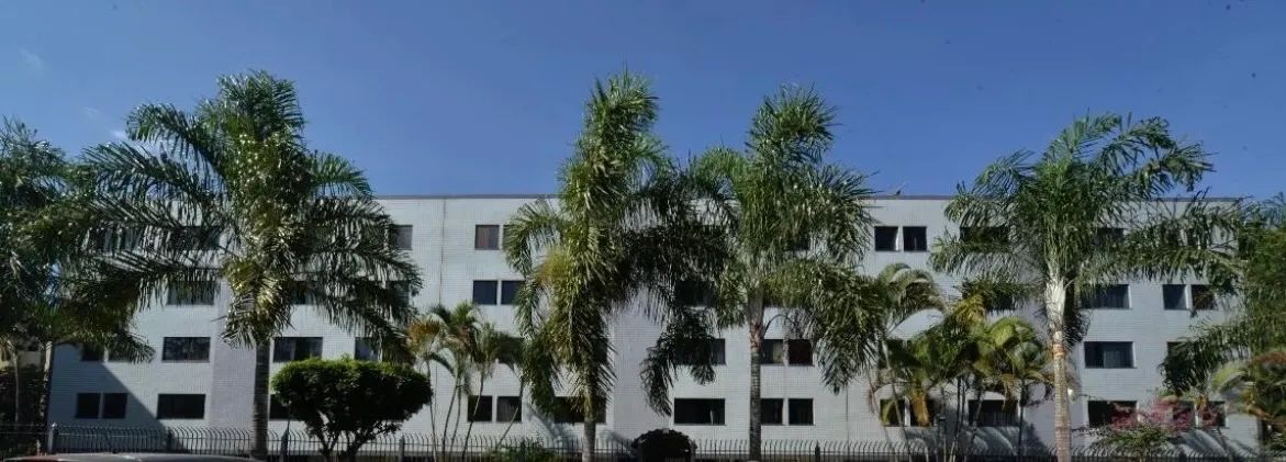 Apartamento SCHES 203 bloco c aluguel ou venda 