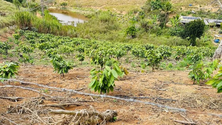 Terra Córrego Do Indaia - Foto 4