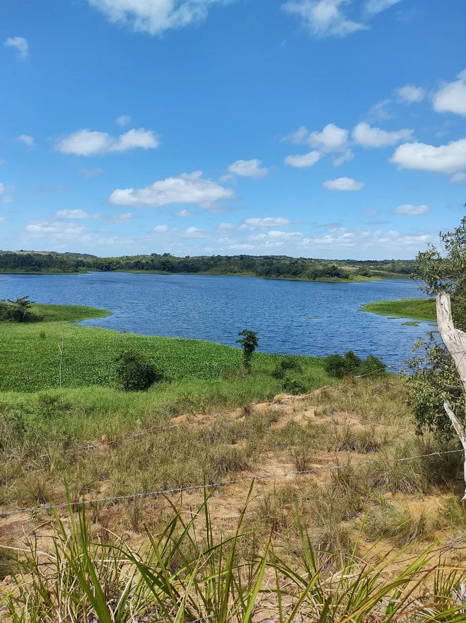 Venda de sitio  - Foto 4