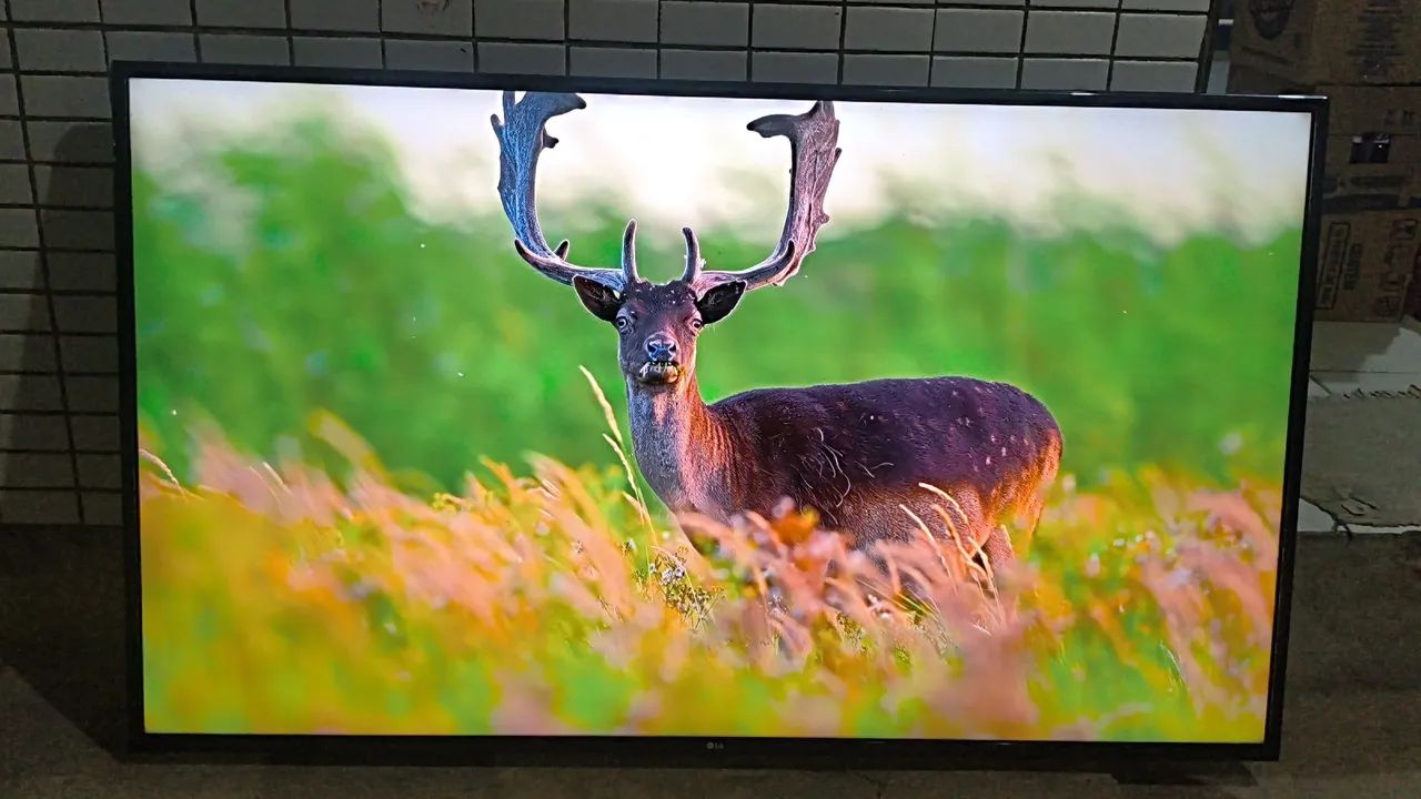 Tv Smart LG 60 Polegadas 4k Ultra HD Top de Verdade  - Foto 2