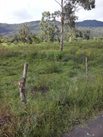 Sítio em Urubici - Foto 9