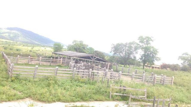 Fazenda de Gado linda de 882ha em Itapetinga Clima e solos Oportunidade - Foto 15