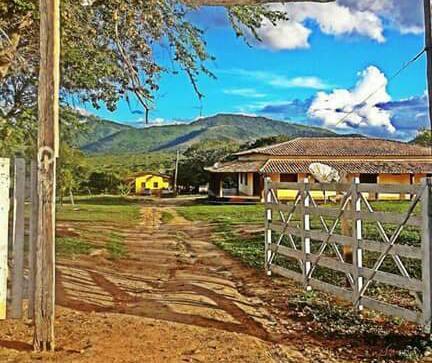 Fazenda de Gado linda de 882ha em Itapetinga Clima e solos Oportunidade - Foto 7