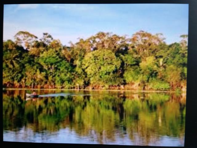 Área de 122.000 hectares na amazônia - Foto 8
