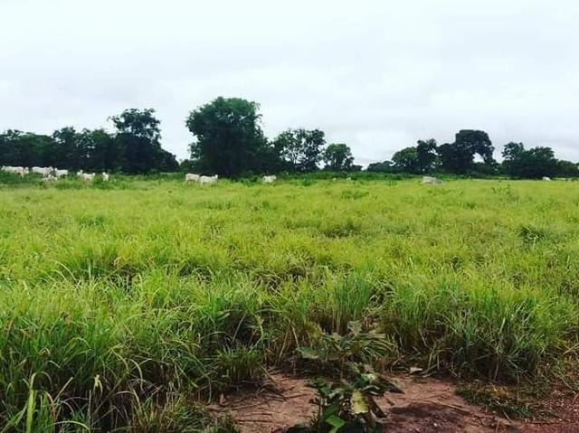 Fazenda em livramento 514 hectares - Foto 6