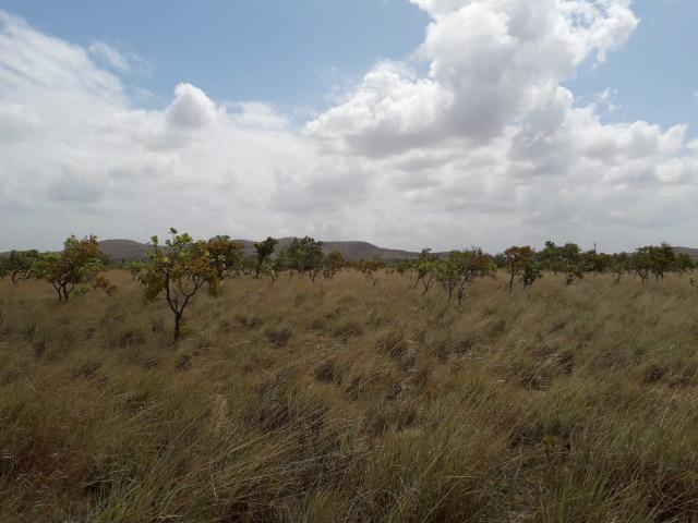 Fazenda com 4300 hectares no Bonfim, ler descrição do anuncio