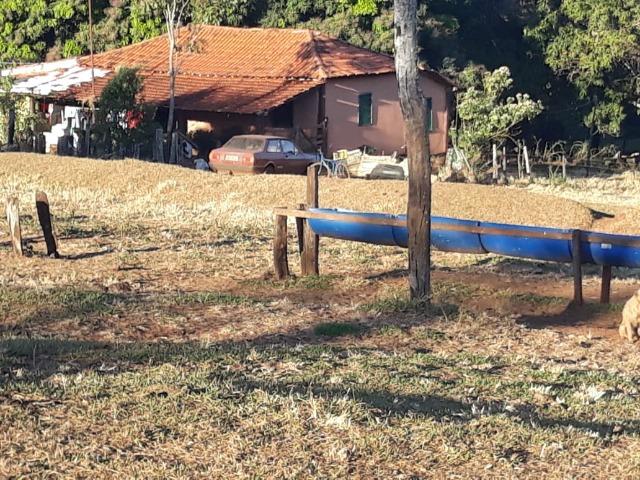 Fazenda de 28 alqueires ( 135 hectares ) Paraúna-GO ( soja ) - Foto 5