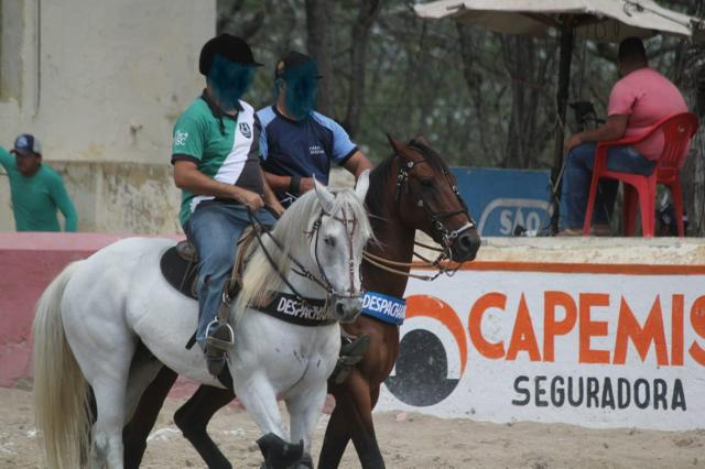 Cavalo de esteira
