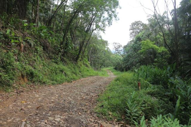 Área em Morretes - Foto 8
