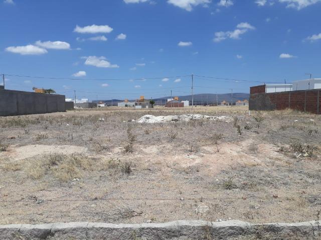 Terreno Loteamento Rocha Arcoverde - Foto 2