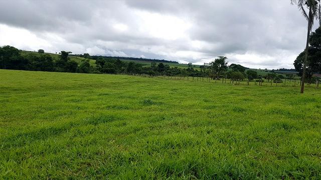 Chácara em Inhumas - 20.000m - 40 min de Goiânia - Sem benfeitoria - Act parte em permuta - Foto 5