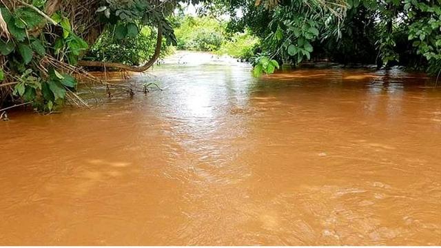 Chácara em Inhumas - 20.000m - 40 min de Goiânia - Sem benfeitoria - Act parte em permuta - Foto 3