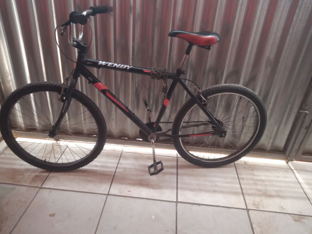 Vendo bicicleta wendy boa