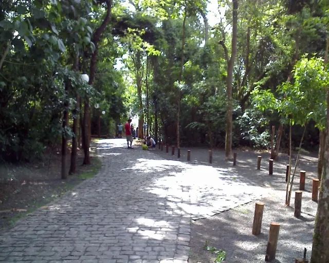 Casa Térrea Royal Forest  - Foto 5