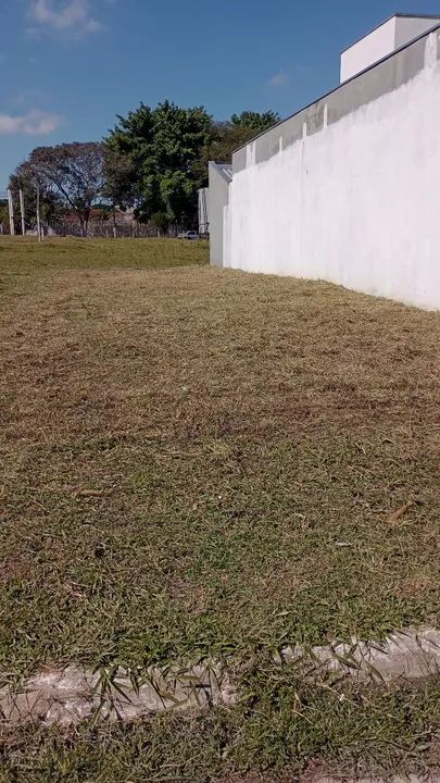 Serviços de limpeza e jardinagem  - Foto 2