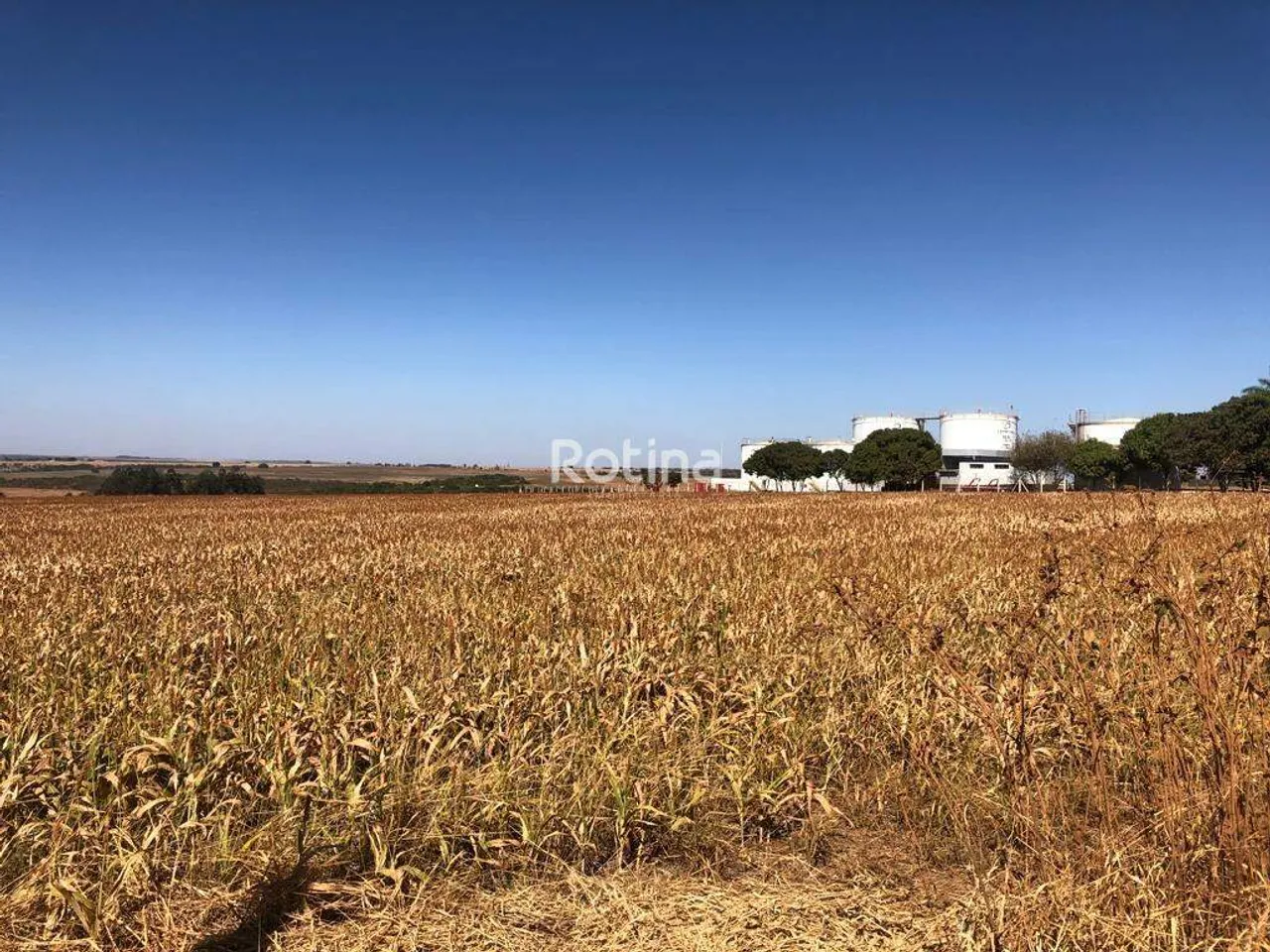 Área para alugar, Morada Nova - Uberlândia/MG - Rotina Imobiliária