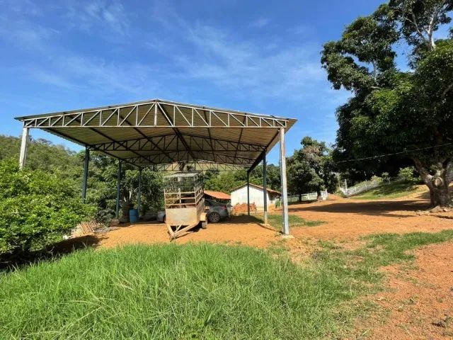 Fazenda à Venda Região nobre do TOCANTINS. - Foto 10