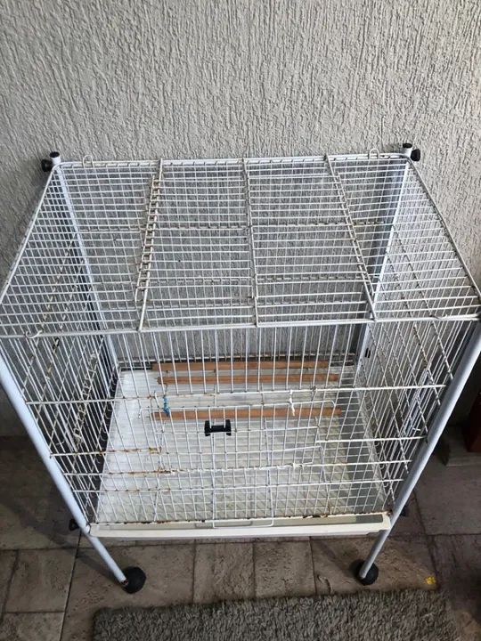 Gaiola para calopsitas  - Foto 3