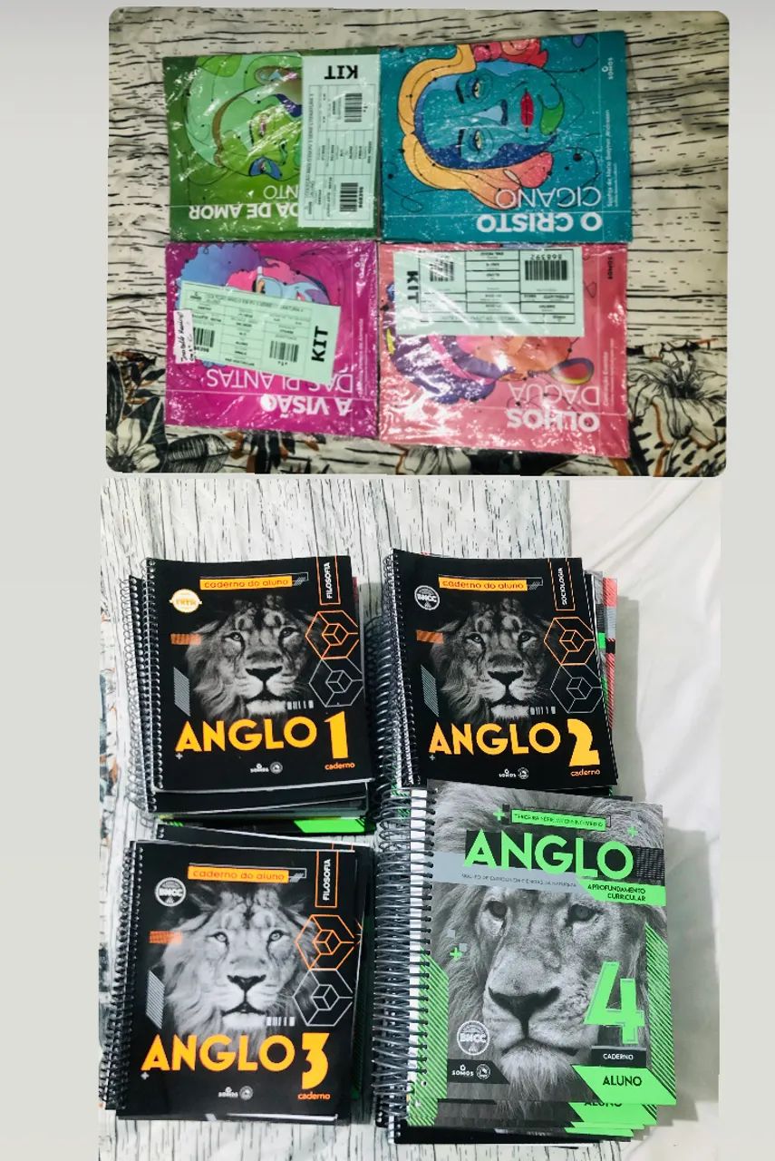 Coleção ângulo 3 ano do ensino médio  - Foto 4