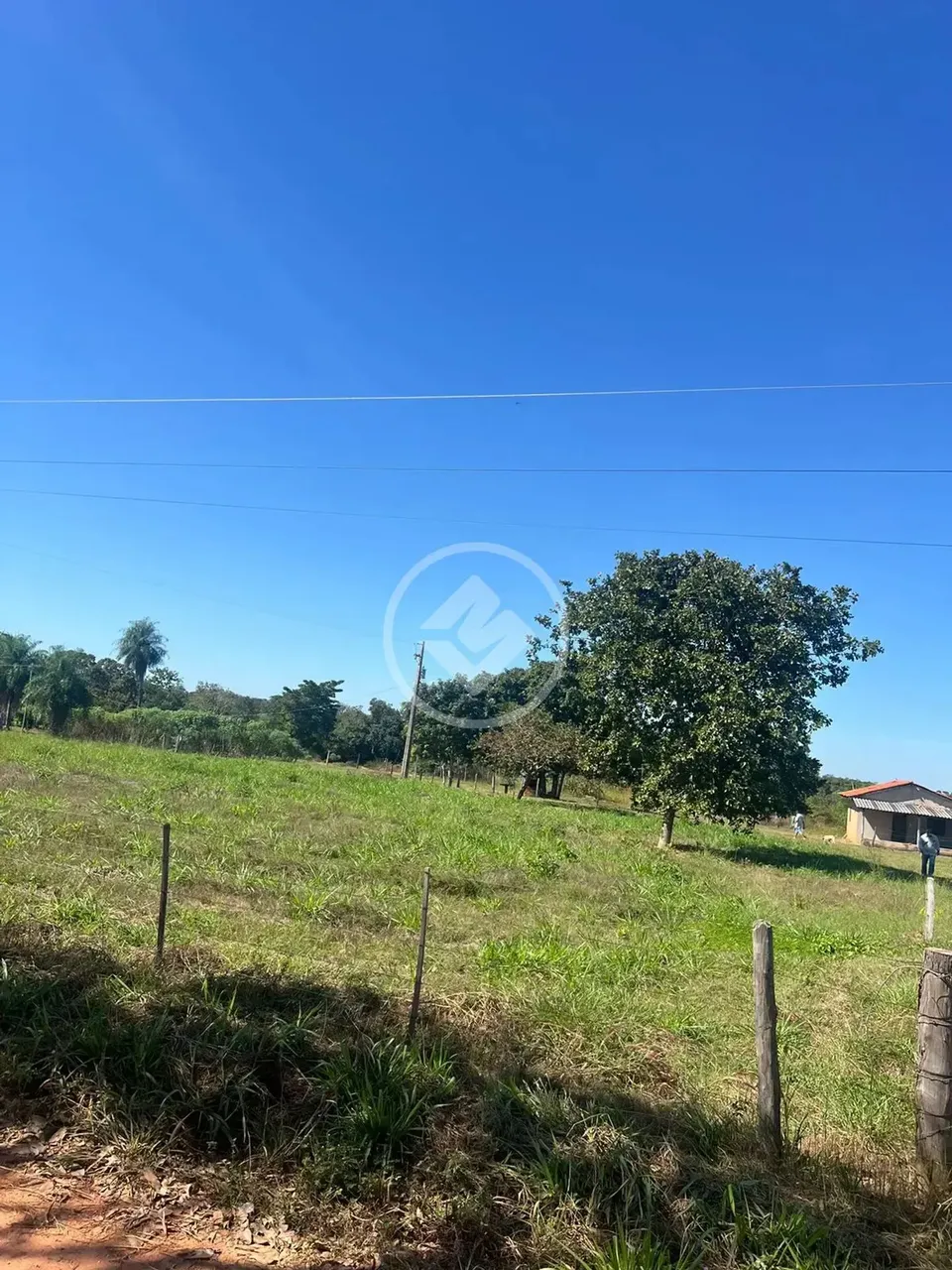 Vende-se uma chácara no assentamento santa Teresa em Poconé codigo: 126908