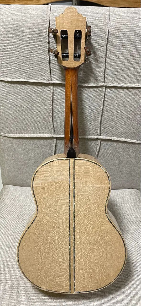 Cavaquinho De Castro - Foto 5