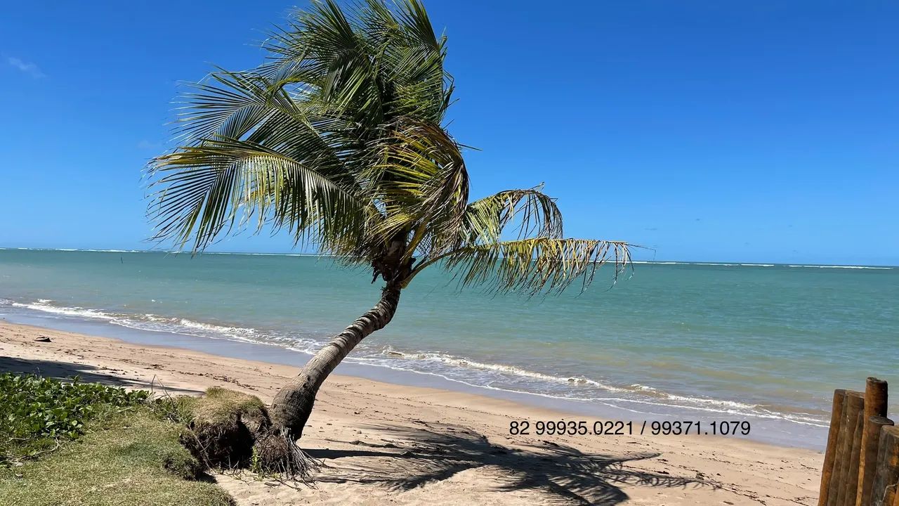 Patacho Eco Residence - Porto de Pedras - Foto 2